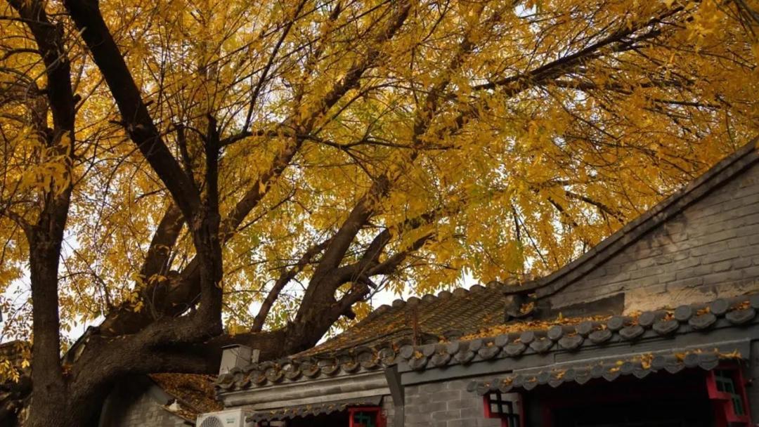 The East Hotel-Very Close To The Drum Tower,The Lama Temple,Houhai Bar Street,And The Forbidden City,There Are Many Old Beijing Traditional Hutongs Around The Hotel ,Experience The Culture Of Old Beijing Hutongs,Near Exit A Of Shichahai On Metro Line Exterior foto
