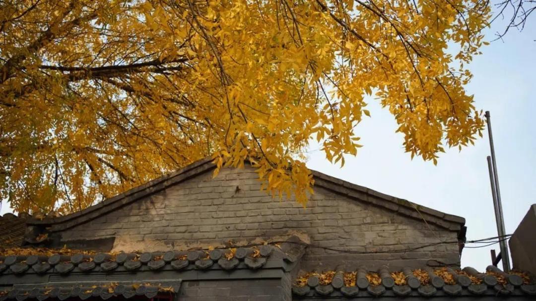 The East Hotel-Very Close To The Drum Tower,The Lama Temple,Houhai Bar Street,And The Forbidden City,There Are Many Old Beijing Traditional Hutongs Around The Hotel ,Experience The Culture Of Old Beijing Hutongs,Near Exit A Of Shichahai On Metro Line Exterior foto